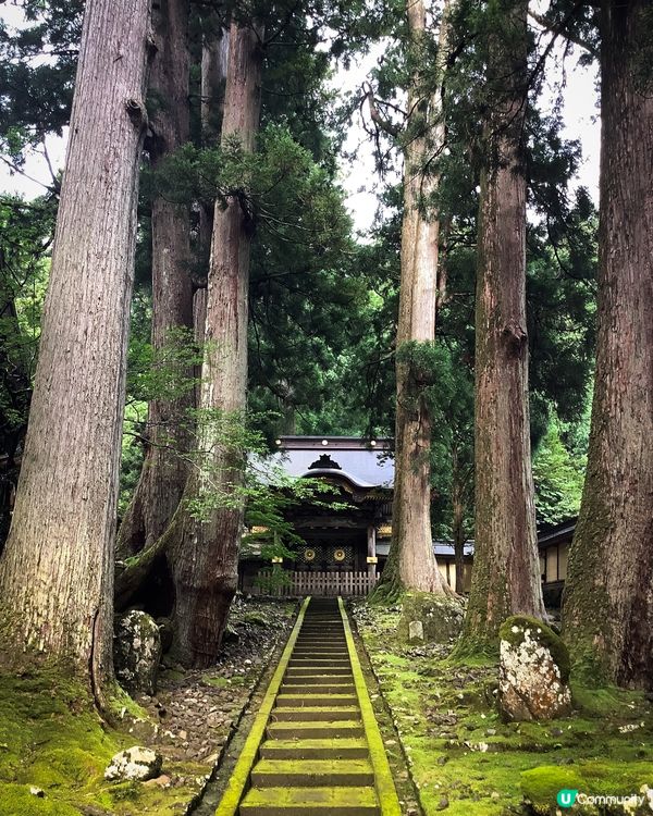 環遊日本🇯🇵｜北陸地區小眾旅行地攻略🦖