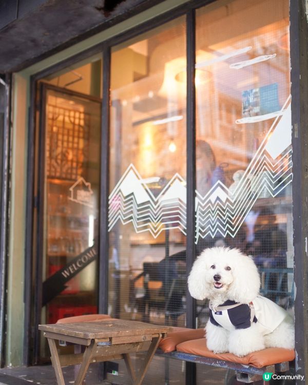 毛孩聚腳地 🐶☕️ 驚艷咖啡🤤