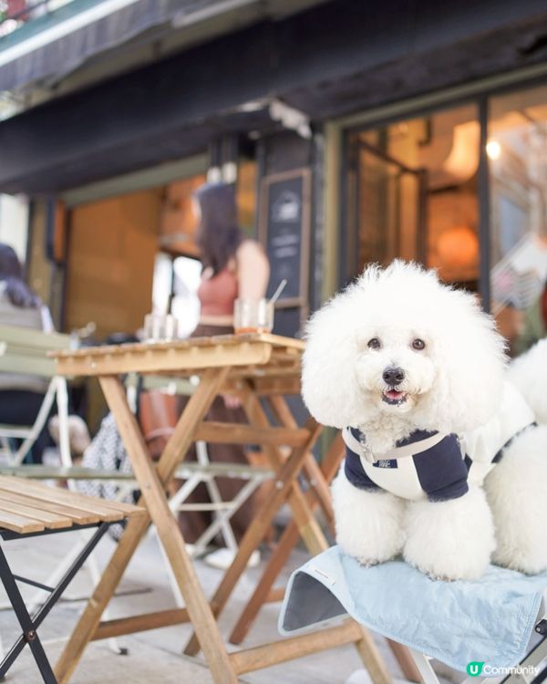 毛孩聚腳地 🐶☕️ 驚艷咖啡🤤