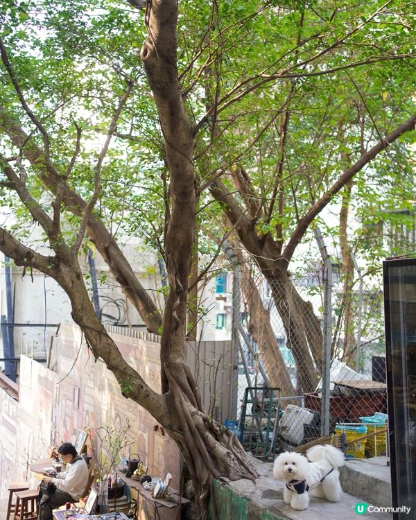 毛孩聚腳地 🐶☕️ 驚艷咖啡🤤