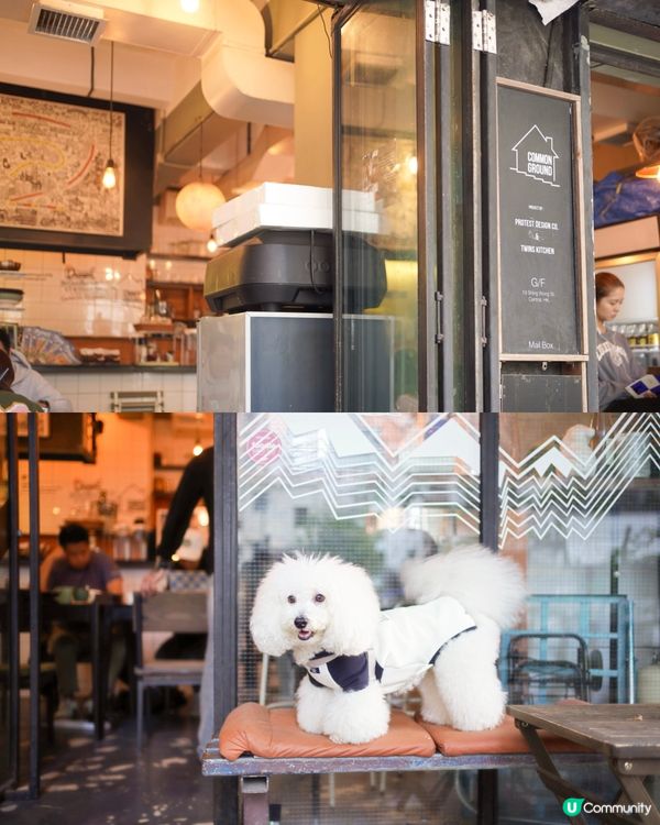 毛孩聚腳地 🐶☕️ 驚艷咖啡🤤