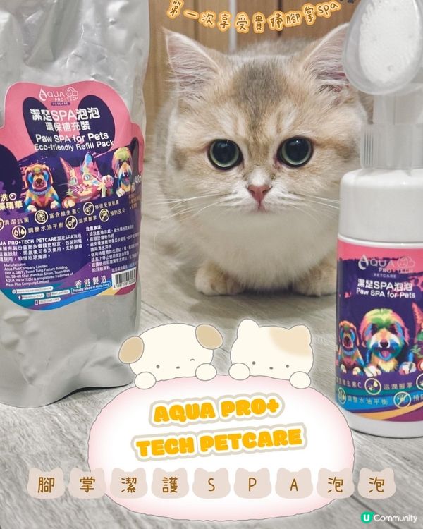 貓狗毛孩腳掌潔護SPA泡泡🫧貴婦腳掌spa初體驗🐾喵