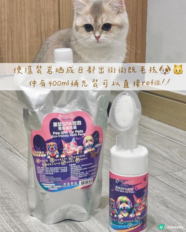 貓狗毛孩腳掌潔護SPA泡泡🫧貴婦腳掌spa初體驗🐾喵