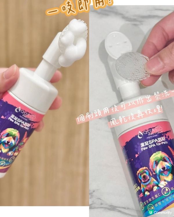 貓狗毛孩腳掌潔護SPA泡泡🫧貴婦腳掌spa初體驗🐾喵