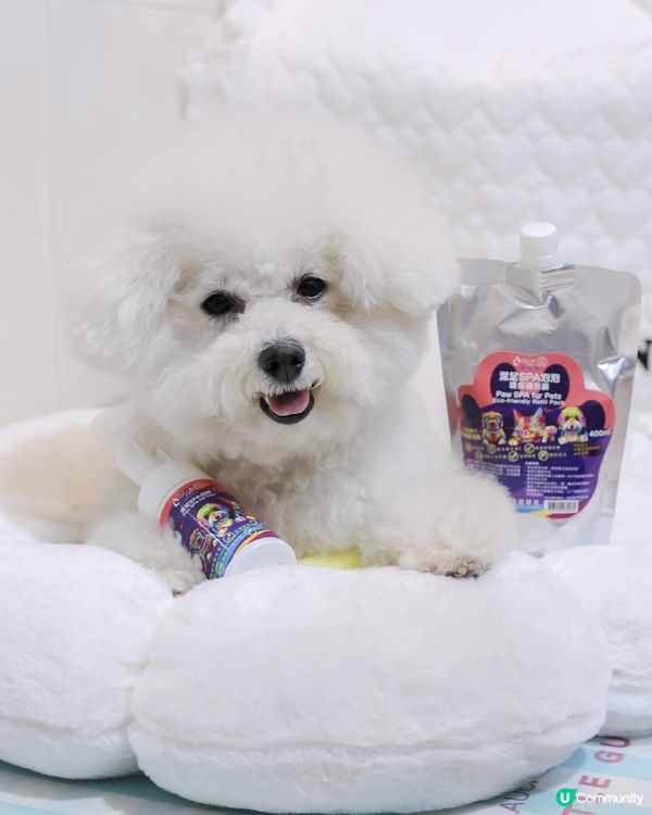 告別腳臭 🦶🏻【深度清潔 + 懶人福音】