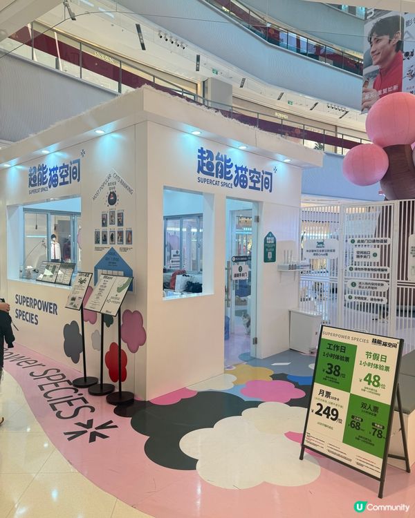 ｢幾十隻貓貓超乖超親人🥹乾淨無異味｣