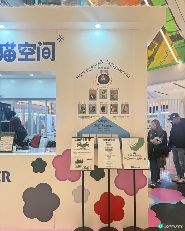 ｢幾十隻貓貓超乖超親人🥹乾淨無異味｣