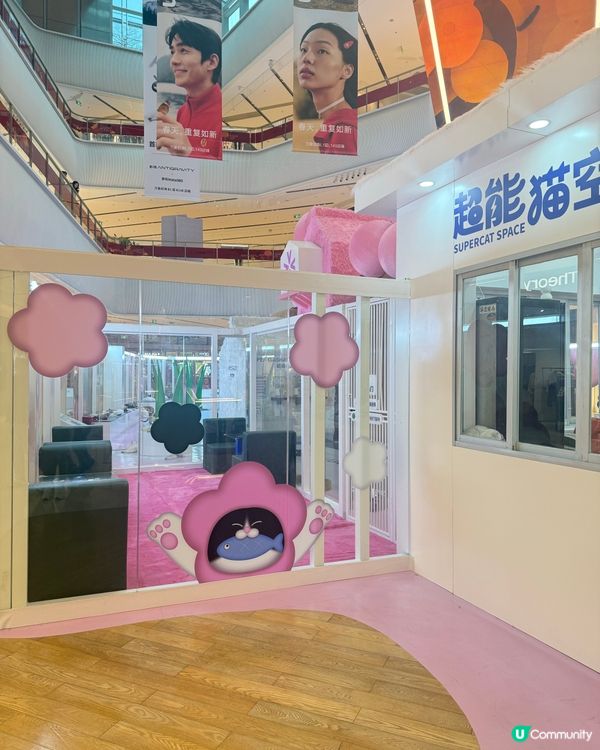 ｢幾十隻貓貓超乖超親人🥹乾淨無異味｣