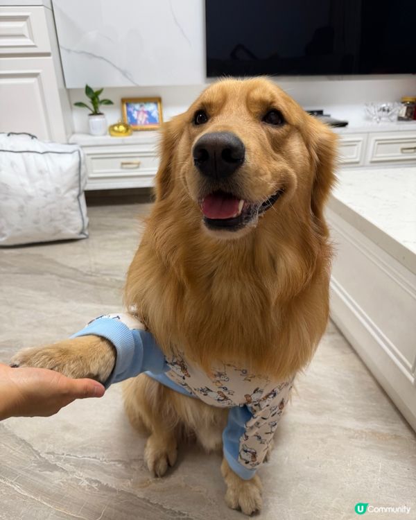 點解你咁得意呀！