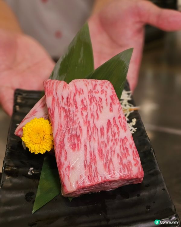 情人節日式鐵板燒