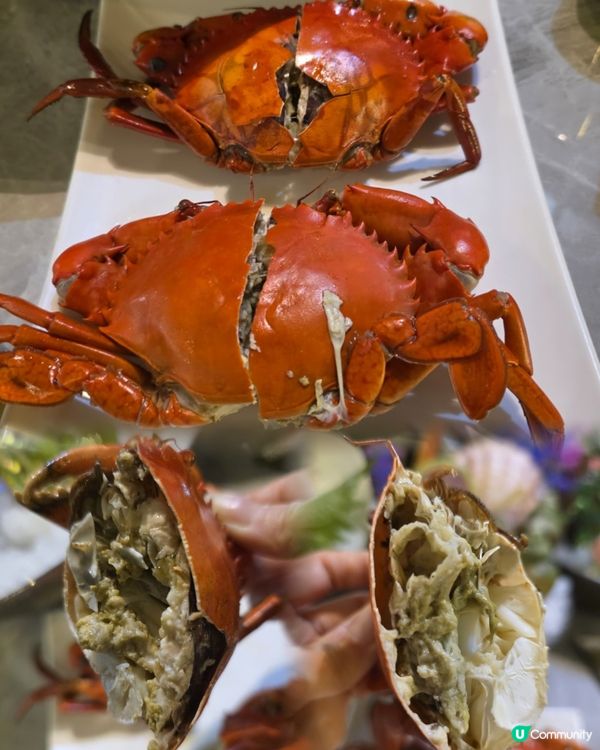 海鮮，啤酒，刺身任食任飲