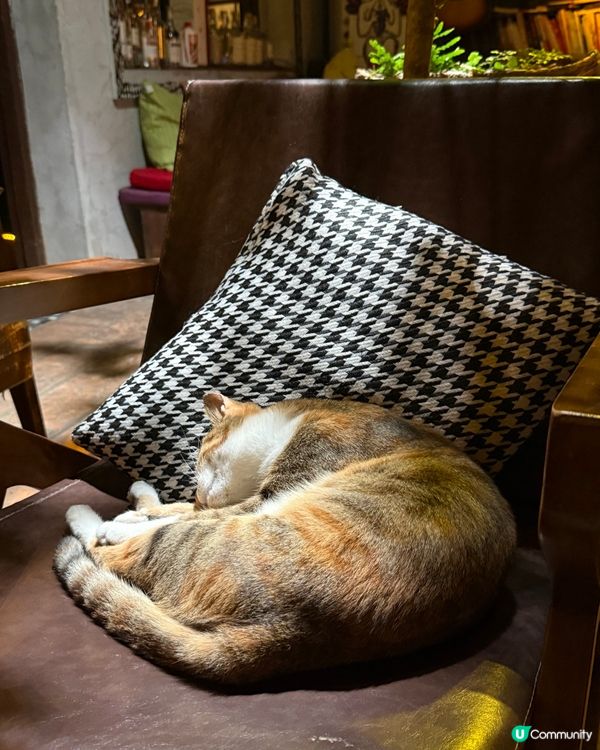 深圳較場尾一日遊｜吹海風、夜遊古城、聽Live