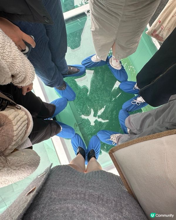 港版Shibuya Sky! 香港都有透明玻璃步道～