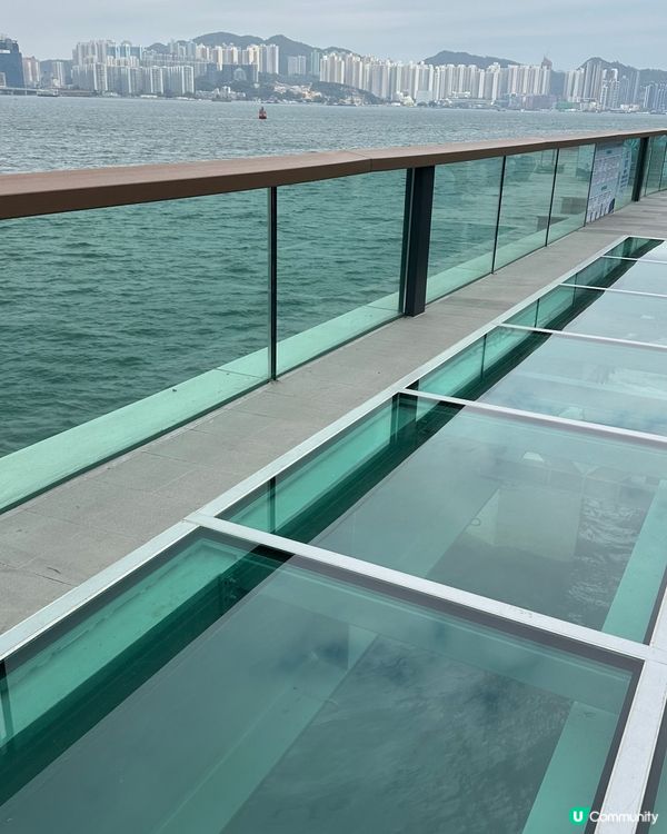 港版Shibuya Sky! 香港都有透明玻璃步道～