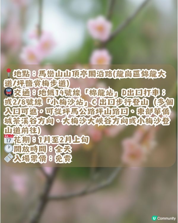 深圳賞梅地圖2026精選！5大免費賞梅打卡點🌸附交通及打卡攻略