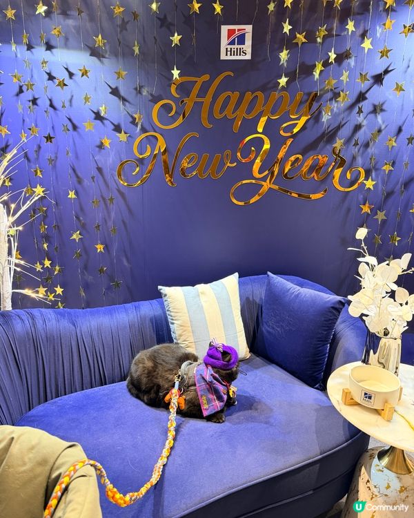 𝟸𝟿/𝟷~~𝟷/𝟸 (星期四～日) 寵物展第一日收獲