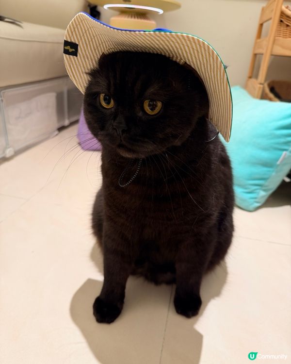 𝟸𝟿/𝟷~~𝟷/𝟸 (星期四～日) 寵物展第一日收獲