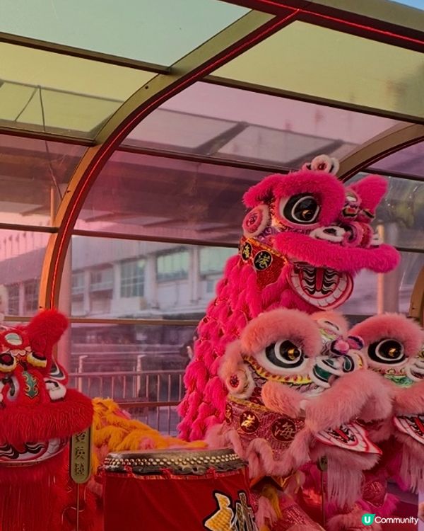 農曆新年商場打卡📸一家人吃年糕和蘿蔔糕😋