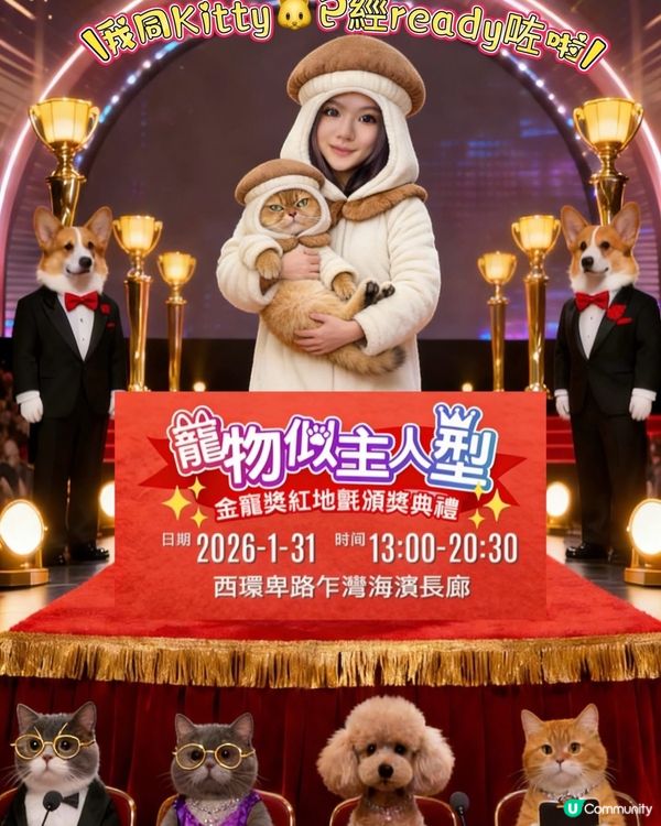 Ⓨの寵物慈善活動🐱🐶💜