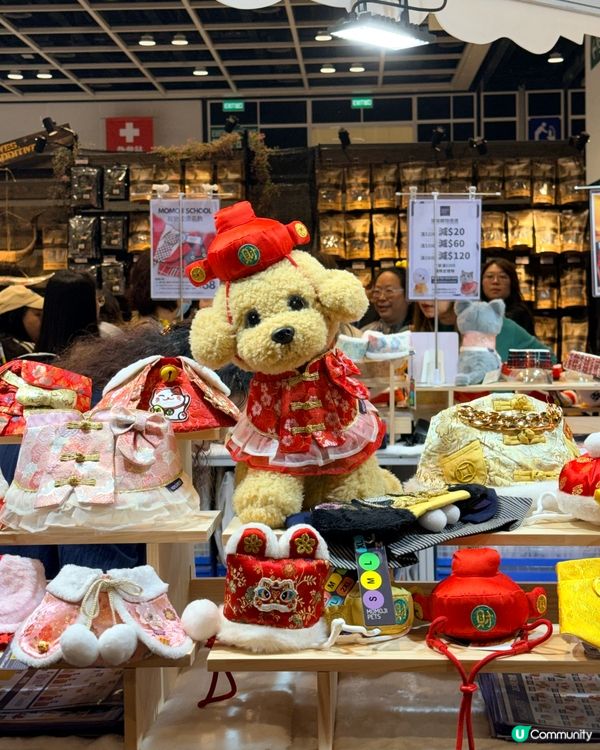 寵物節開鑼！主子零食掃貨！🐶🐱✨