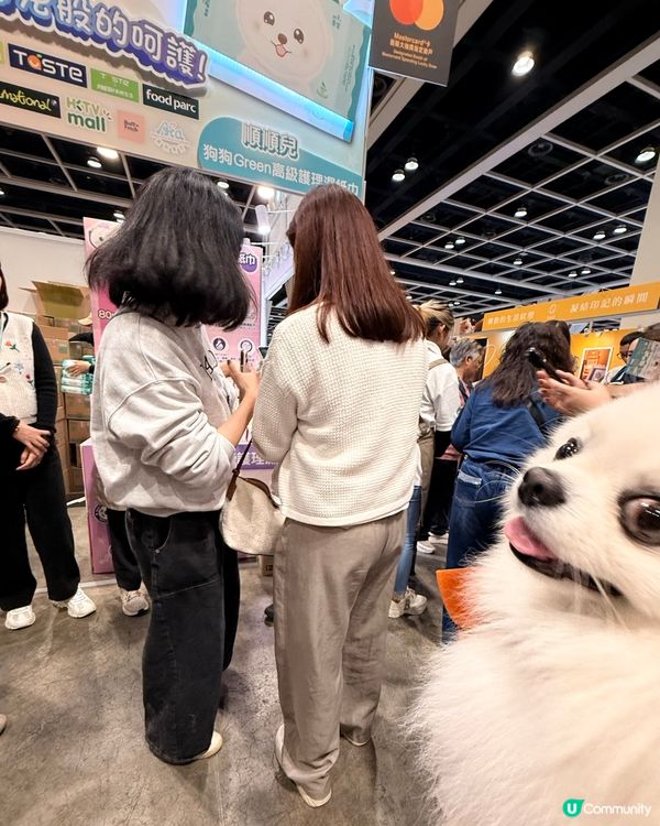 寵物節開鑼！主子零食掃貨！🐶🐱✨