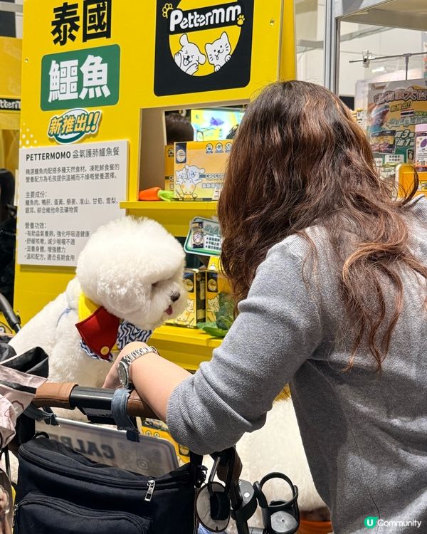 寵物節開鑼！主子零食掃貨！🐶🐱✨