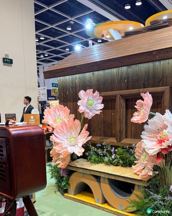 寵物節開鑼！主子零食掃貨！🐶🐱✨