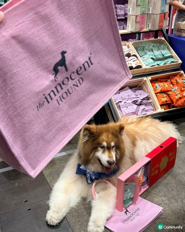 寵物節開鑼！主子零食掃貨！🐶🐱✨