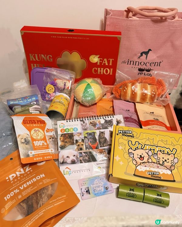 寵物節開鑼！主子零食掃貨！🐶🐱✨