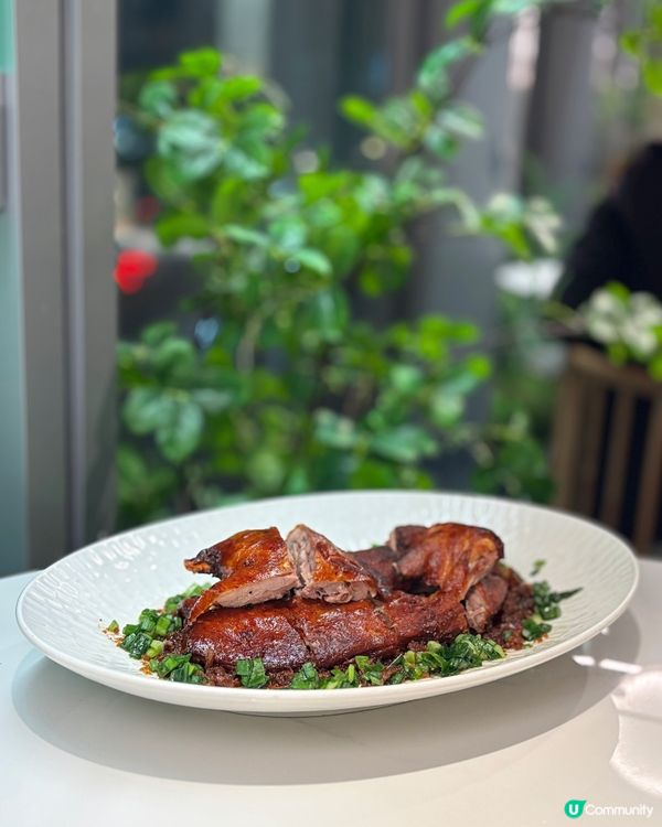 🎀屯門｡古風詩畫中品嚐新派浙菜✨✨🎀