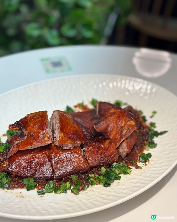 🎀屯門｡古風詩畫中品嚐新派浙菜✨✨🎀