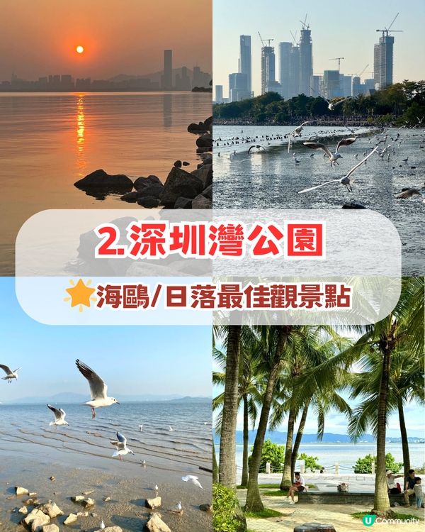 深圳新年必衝7大景點! 歐洲小鎮+歷史古蹟+噴泉表演