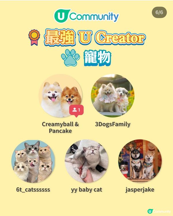 2026展望清單🌟年度最強UCREATOR｜寵物好去處🐶