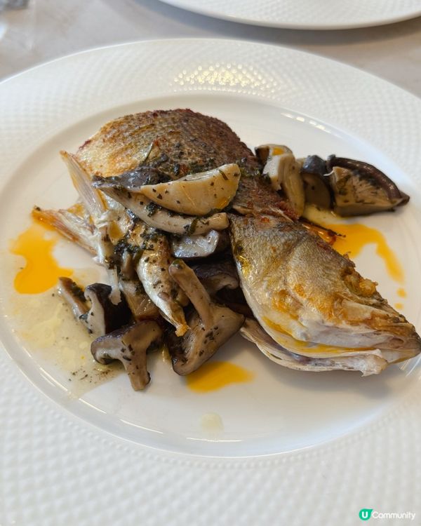 將軍澳海景黎巴嫩餐廳 🌊🤤