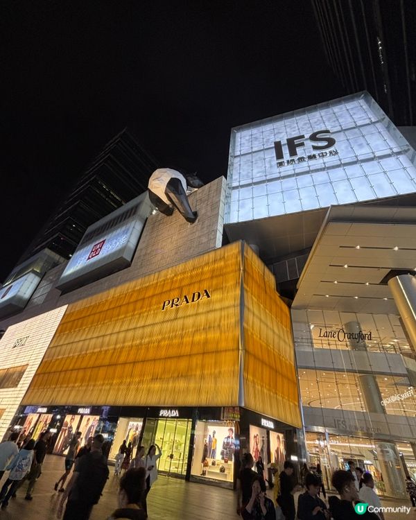 成都初體驗！麻辣美食之旅🌶️🍜