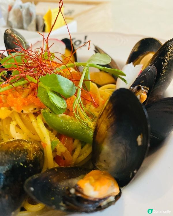 新蒲崗➡️➡️➡️Plato Cafe & Bistro