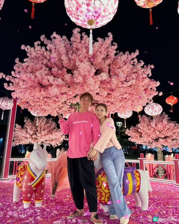 夢幻花園打卡位！🌸✨