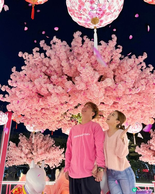 夢幻花園打卡位！🌸✨