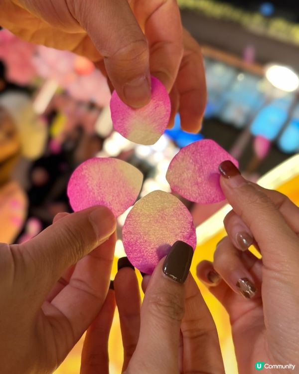 夢幻花園打卡位！🌸✨