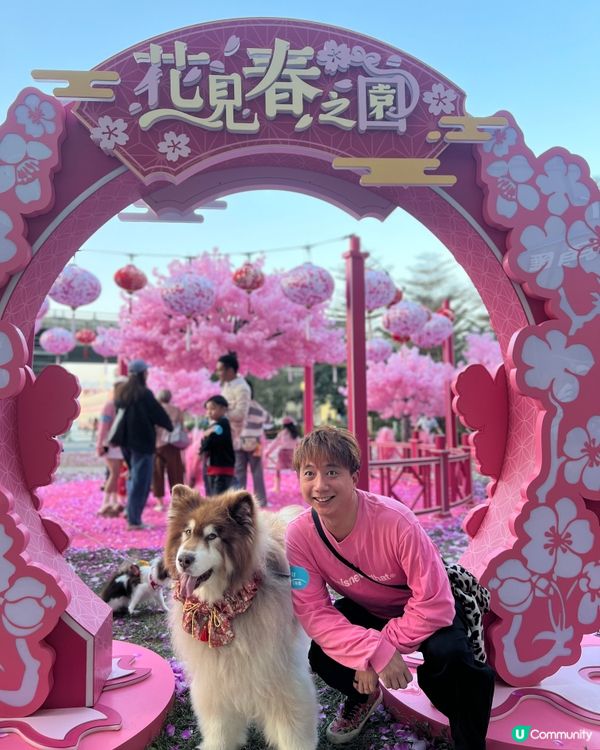 夢幻花園打卡位！🌸✨