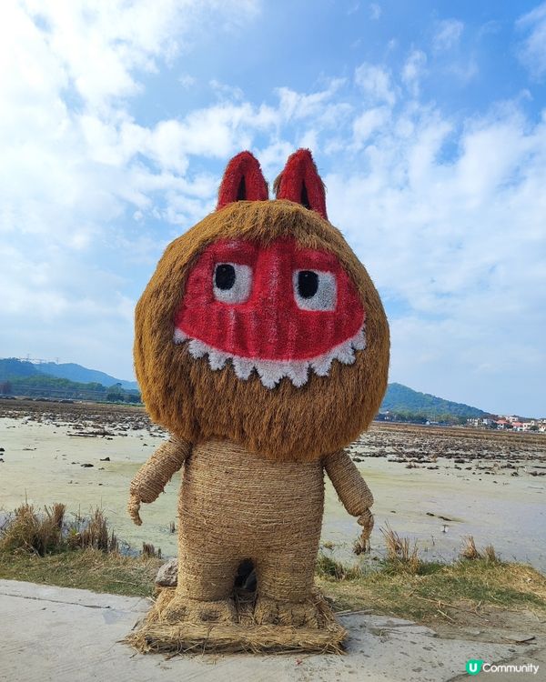 🌸🌸我愛花花之崖口桑格花海🌸🌸