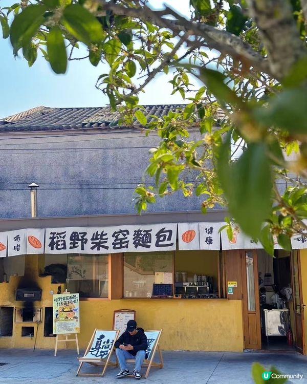 🌸🌸我愛花花之崖口桑格花海🌸🌸