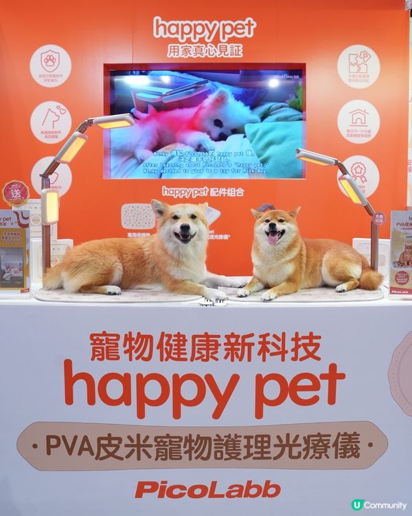 寵物展筍嘢！皮米光療儀勁正！🐶🐱✨