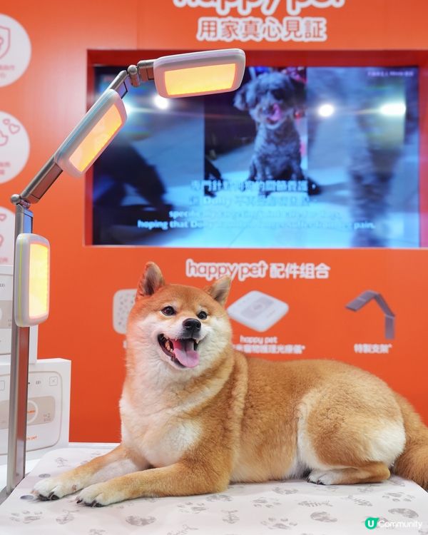 寵物展筍嘢！皮米光療儀勁正！🐶🐱✨