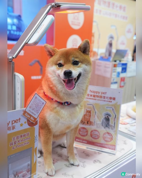 寵物展筍嘢！皮米光療儀勁正！🐶🐱✨