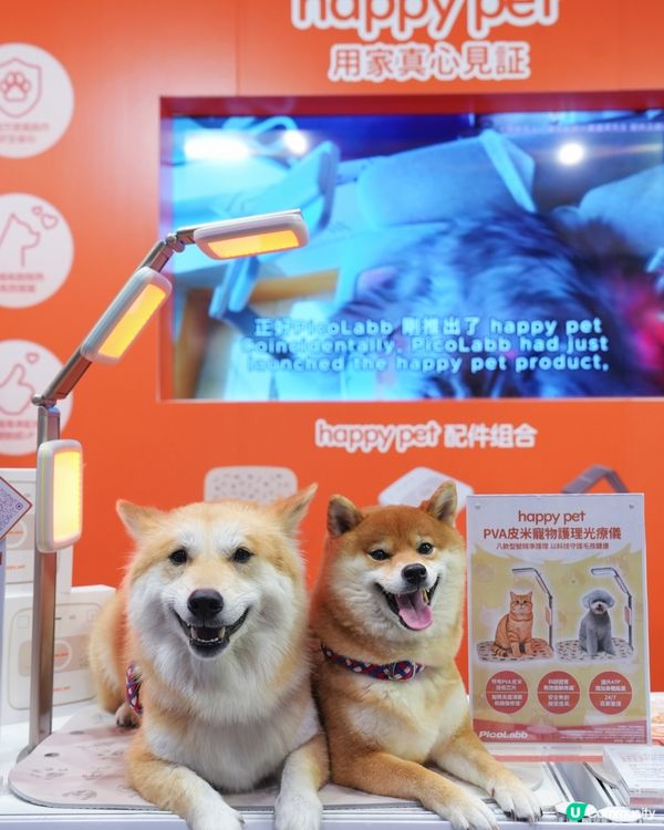 寵物展筍嘢！皮米光療儀勁正！🐶🐱✨