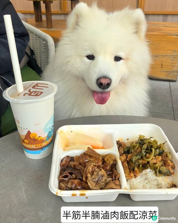 今次食台式便當, 幾好食. 但飲品一般. 總括嚟講可以啦. ...