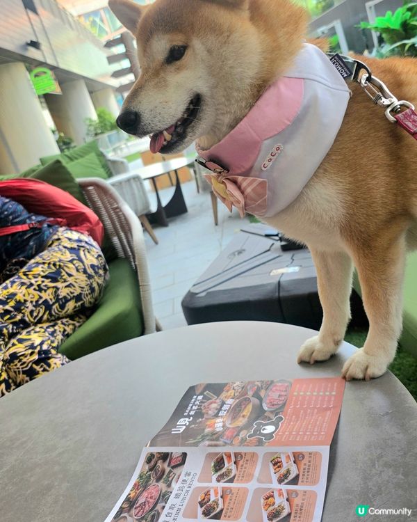 今次食台式便當, 幾好食. 但飲品一般. 總括嚟講可以啦. ...