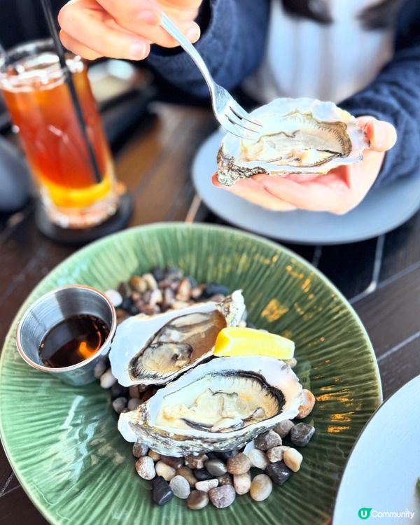 與雲朵共進午餐☁️🌅維港第1排高空視覺