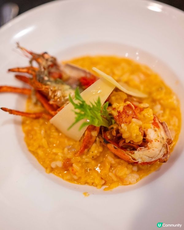 寵物展掃貨後醫肚😋鷹君中心美食推介！